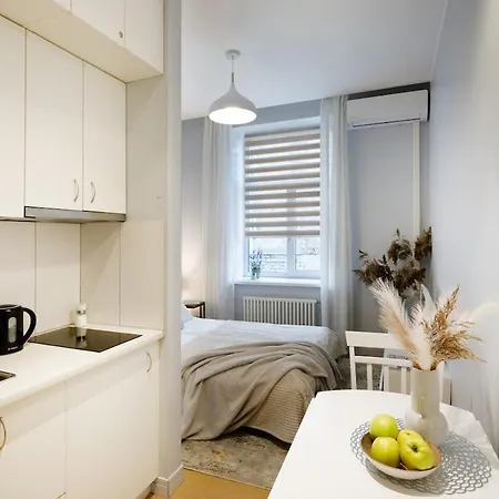 And Cozy Apartment Riga