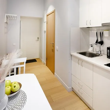 And Cozy Apartment Riga